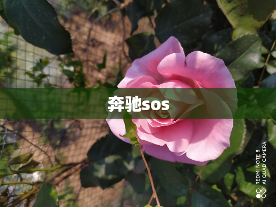 奔驰sos