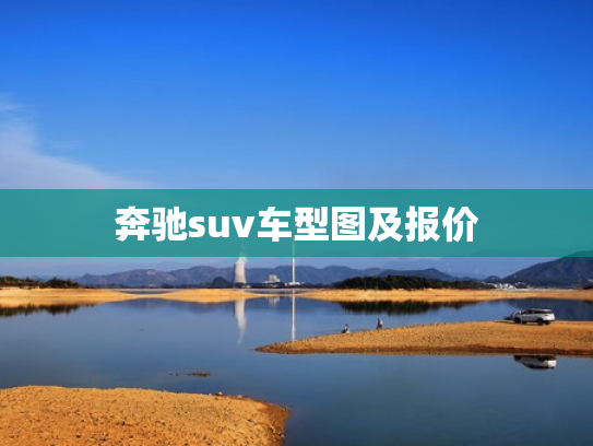 奔驰suv车型图及报价
