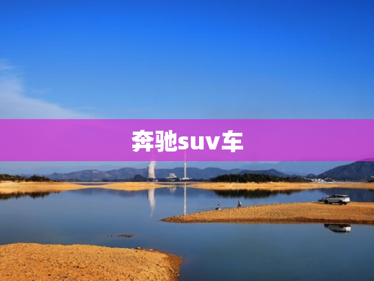 奔驰suv车