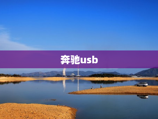 奔驰usb