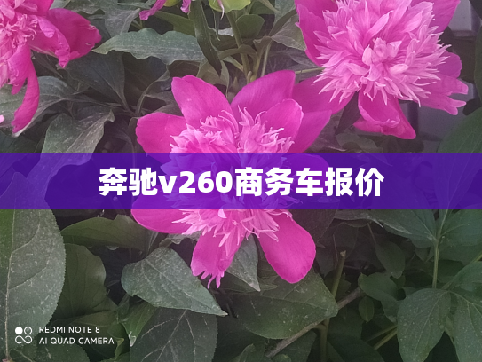 奔驰v260商务车报价