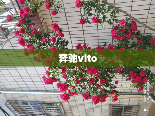 奔驰vito