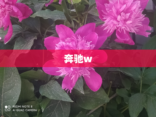 奔驰w