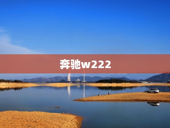 奔驰w222