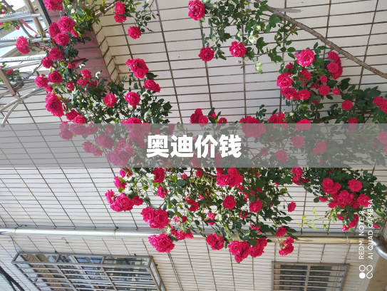 奥迪价钱