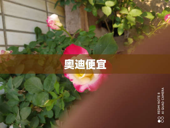奥迪便宜