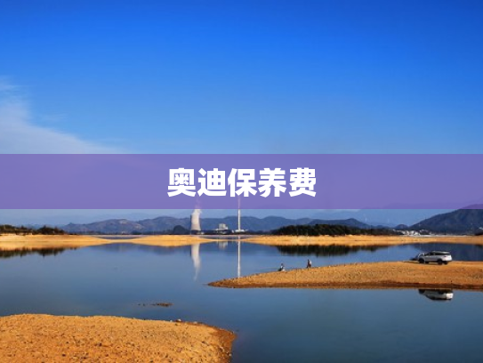 奥迪保养费