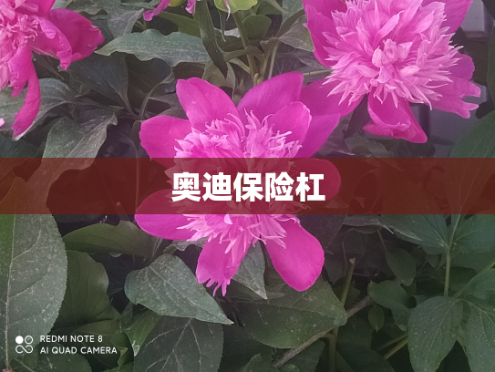 奥迪保险杠