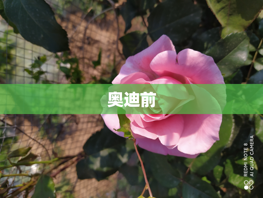 奥迪前