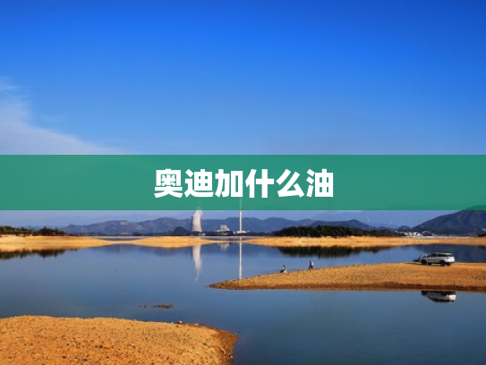 奥迪加什么油