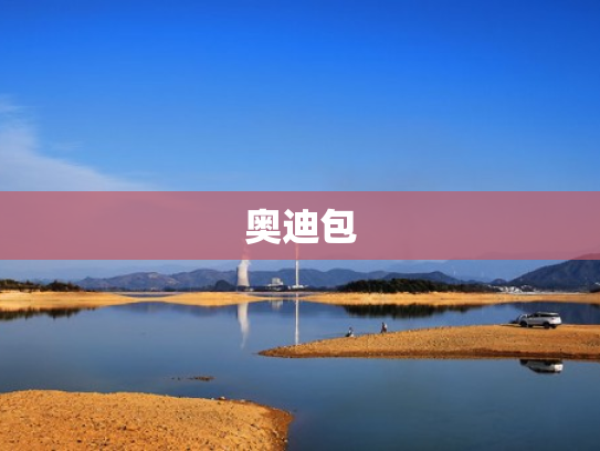 奥迪包