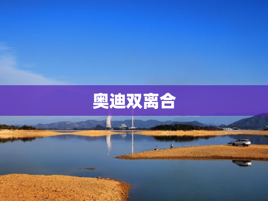 奥迪双离合