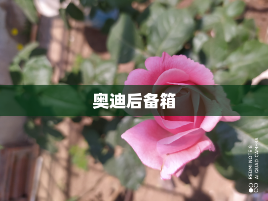 奥迪后备箱