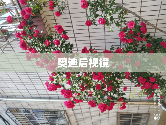 奥迪后视镜