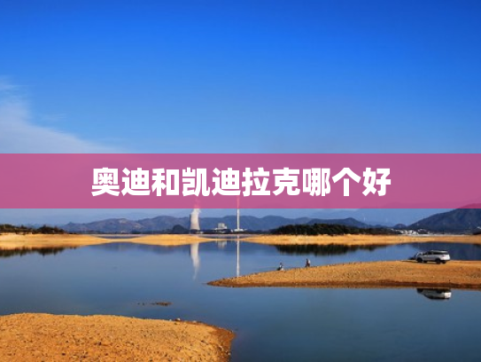 奥迪和凯迪拉克哪个好