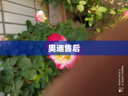 奥迪售后
