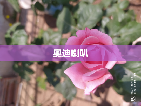 奥迪喇叭