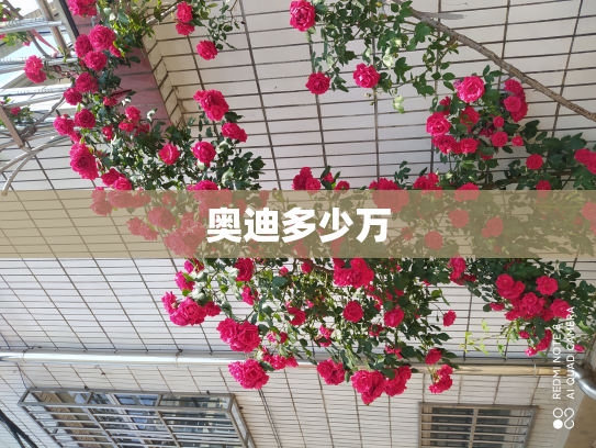 奥迪多少万
