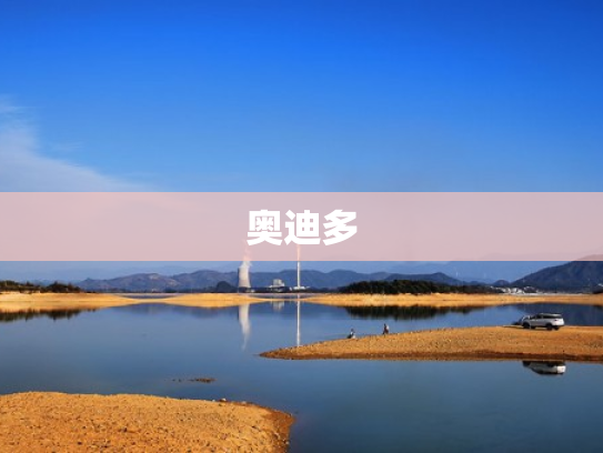 奥迪多