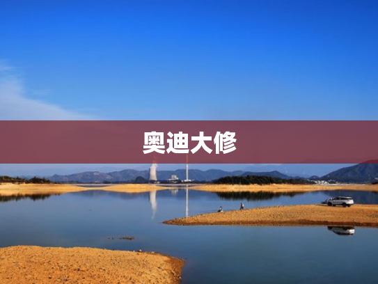 奥迪大修