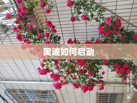 奥迪如何启动