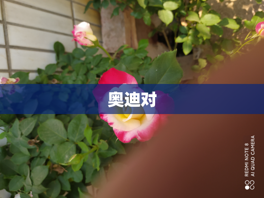奥迪对