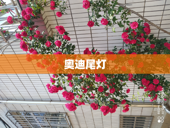 奥迪尾灯