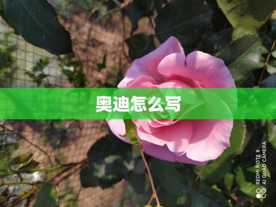 奥迪怎么写
