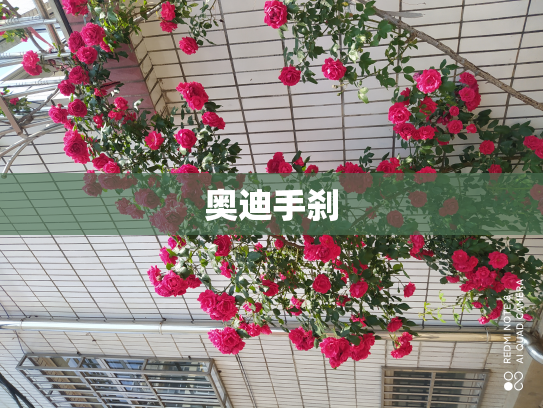奥迪手刹