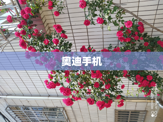 奥迪手机