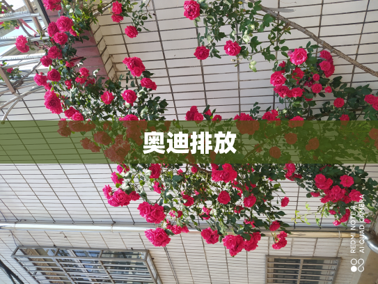 奥迪排放