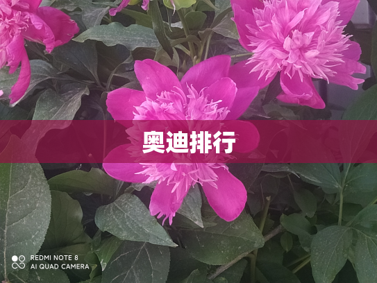 奥迪排行