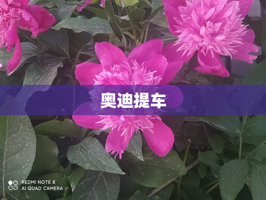 奥迪提车