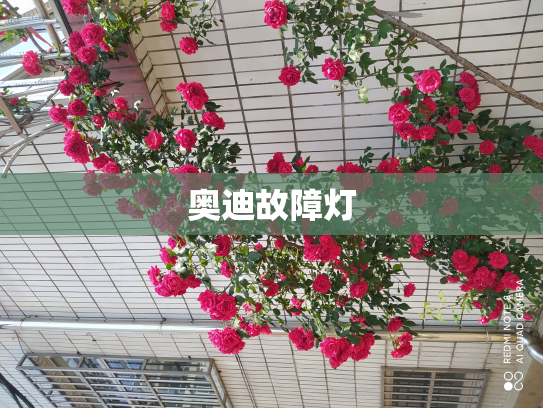 奥迪故障灯