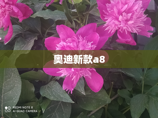 奥迪新款a8