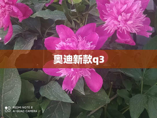 奥迪新款q3