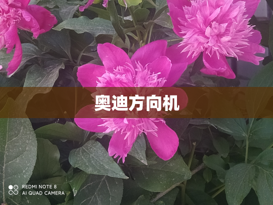 奥迪方向机