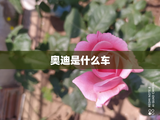 奥迪是什么车