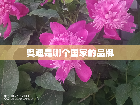 奥迪是哪个国家的品牌
