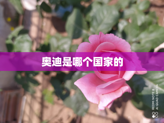奥迪是哪个国家的