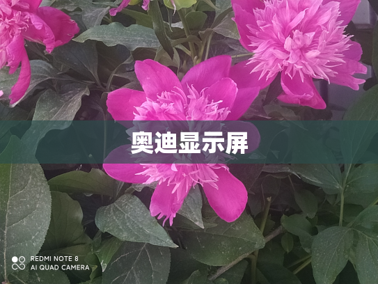 奥迪显示屏