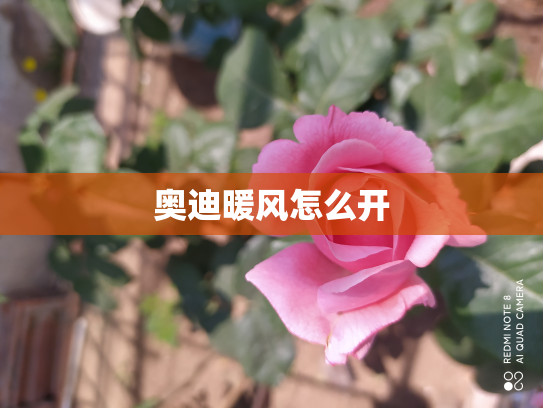 奥迪暖风怎么开