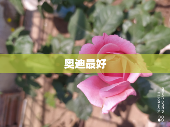 奥迪最好
