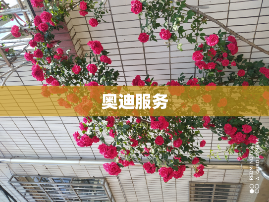 奥迪服务