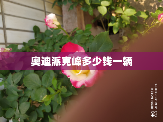 奥迪派克峰多少钱一辆