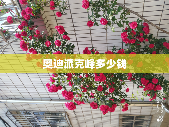 奥迪派克峰多少钱