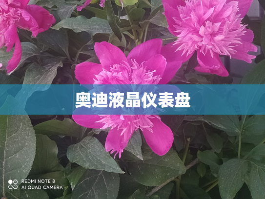 奥迪液晶仪表盘