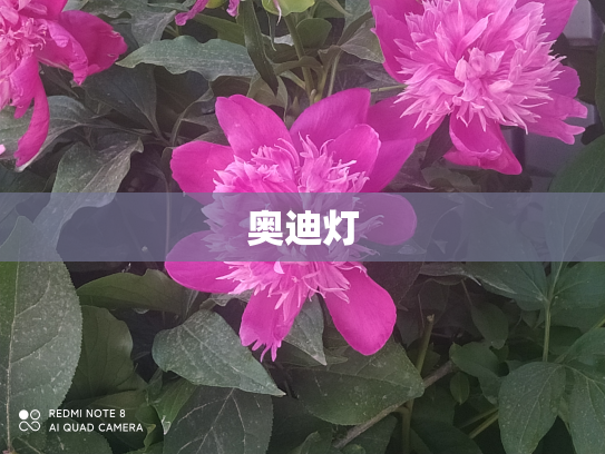 奥迪灯