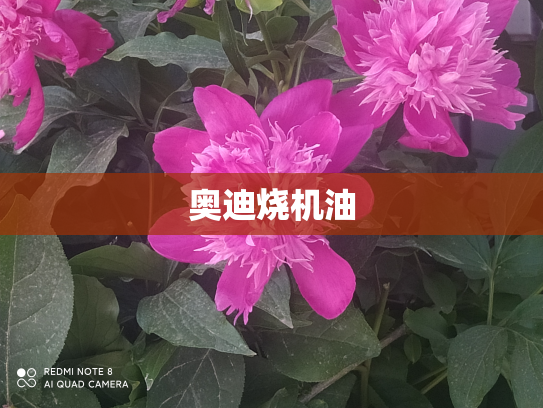 奥迪烧机油