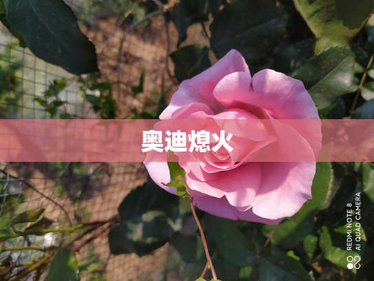 奥迪熄火